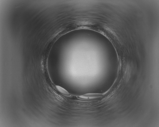 X0000074291305200608251334