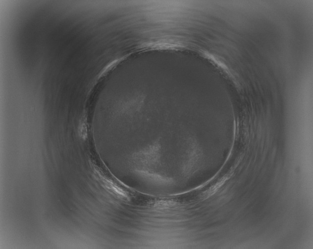 X0000074291306200608251334