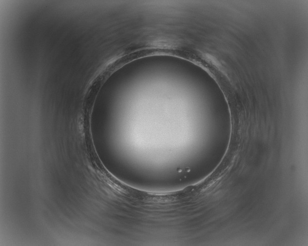 X0000074291307200608251334