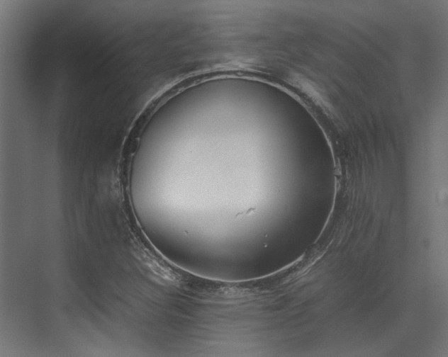 X0000074291308200608251334