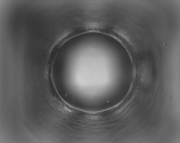 X0000074291309200608251334