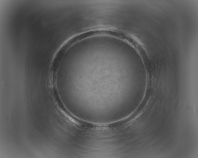 X0000074291310200608251334