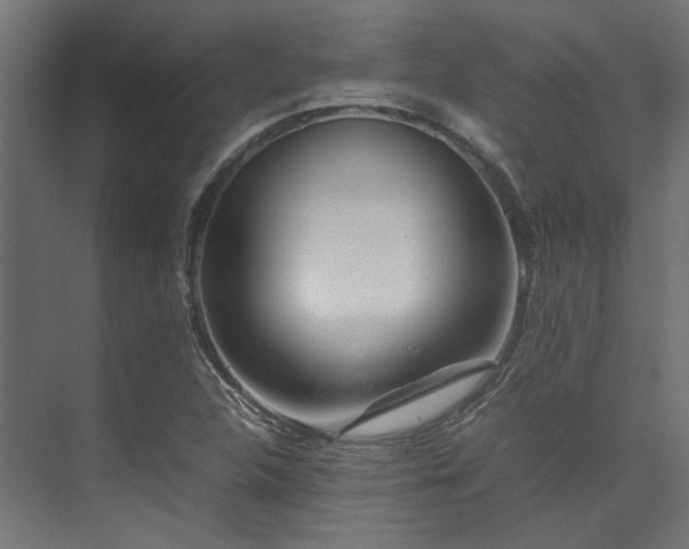 X0000074291312200608251334