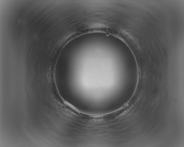 X0000074291313200608251334