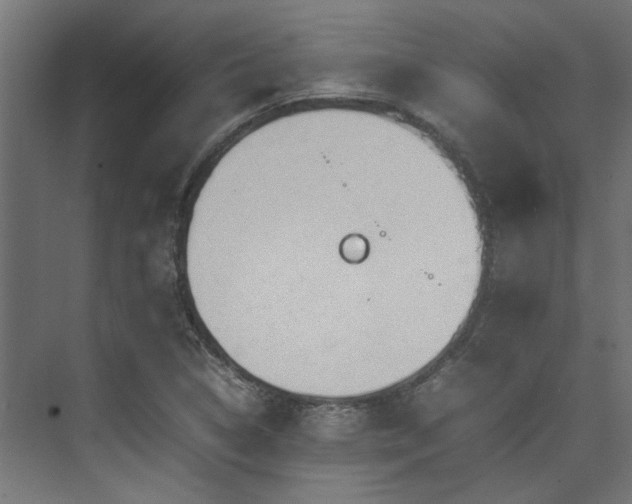 X0000074291314200608251334