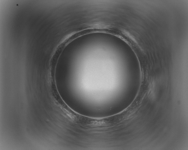 X0000074291315200608251334