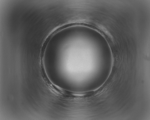 X0000074291316200608251334