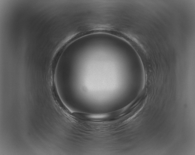 X0000074291317200608251334