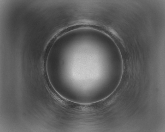 X0000074291318200608251334