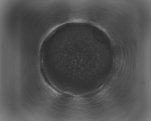 X0000074291319200608251334