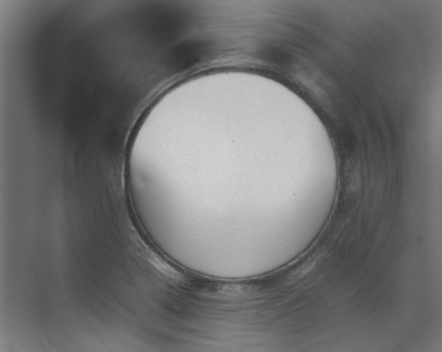 X0000074291322200608251334