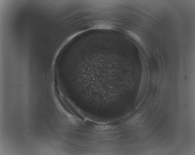 X0000074291323200608251334