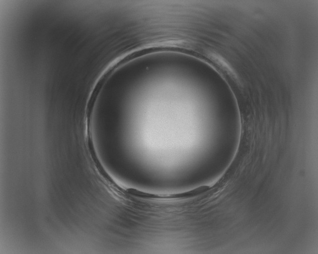 X0000074291324200608251334