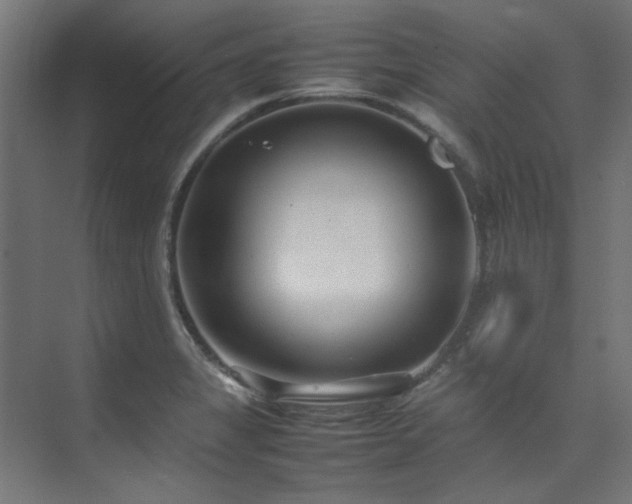 X0000074291325200608251334