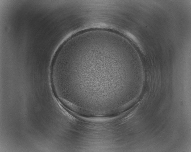 X0000074291326200608251334