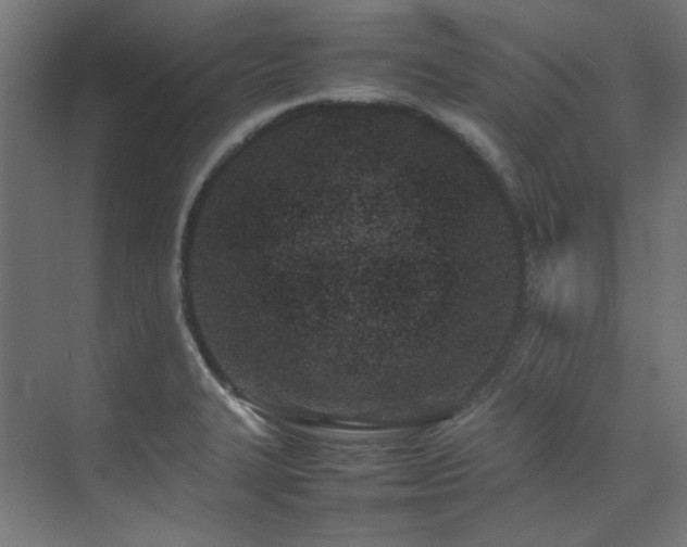 X0000074291327200608251334