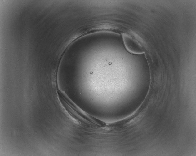 X0000074291329200608251334