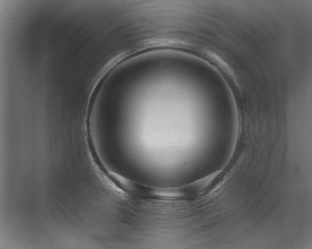 X0000074291330200608251334