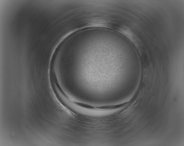 X0000074291331200608251334