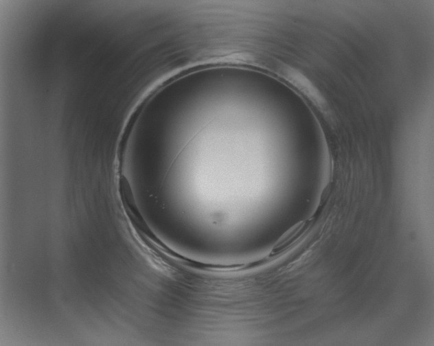 X0000074291332200608251334