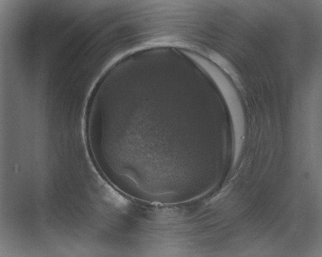 X0000074291334200608251334