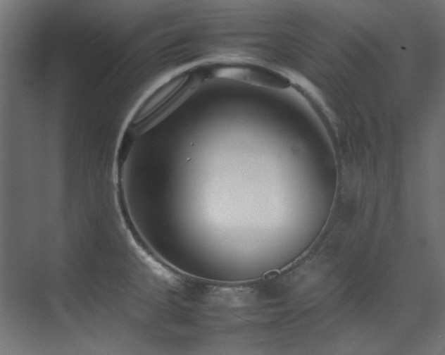 X0000074291335200608251334