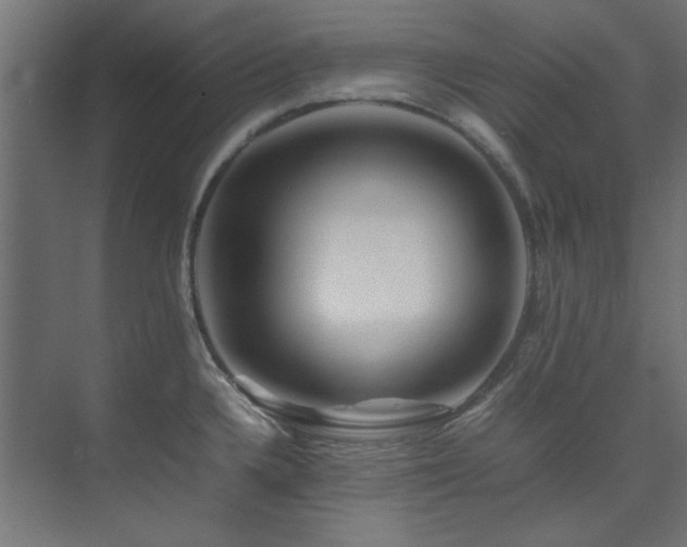 X0000074291336200608251334