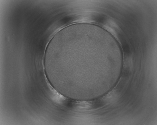 X0000074291338200608251334