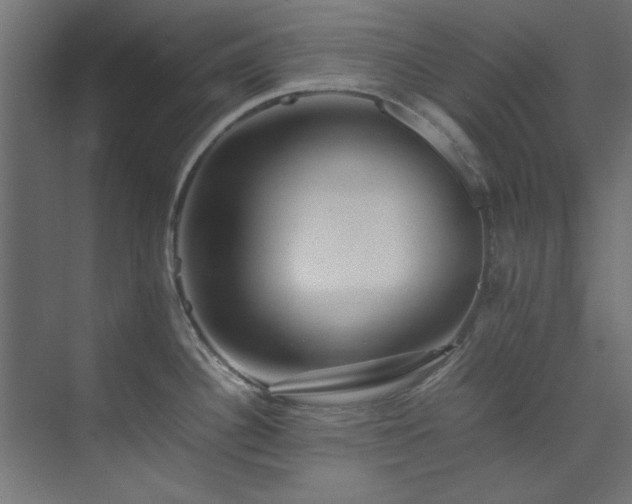 X0000074291340200608251334