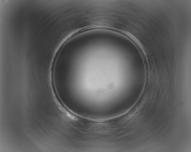 X0000074291341200608251334