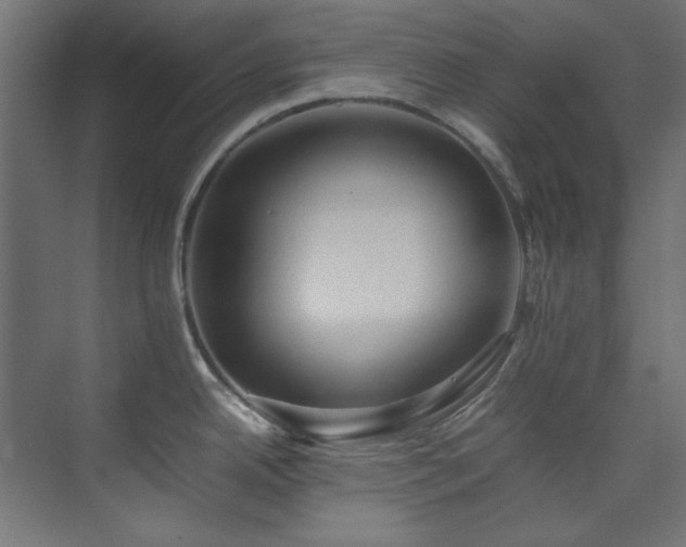 X0000074291342200608251334