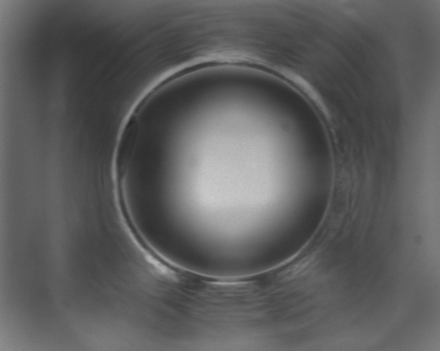 X0000074291343200608251334