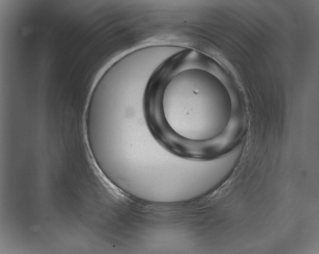 X0000074291344200608251334