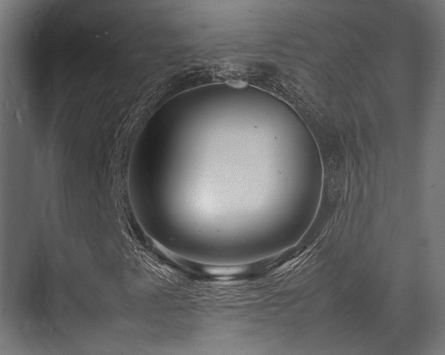 X0000074291345200608251334