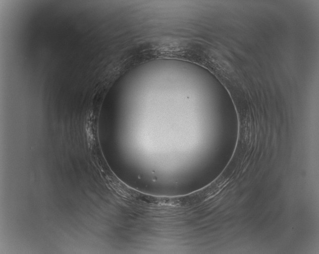 X0000074291346200608251334