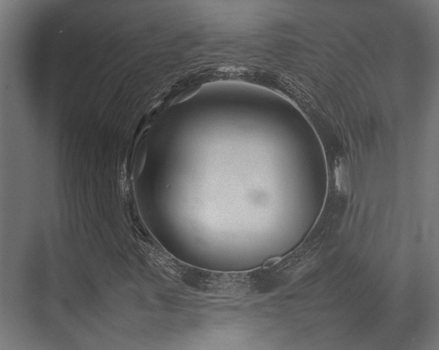 X0000074291347200608251334