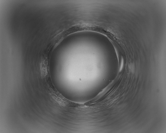 X0000074291348200608251334