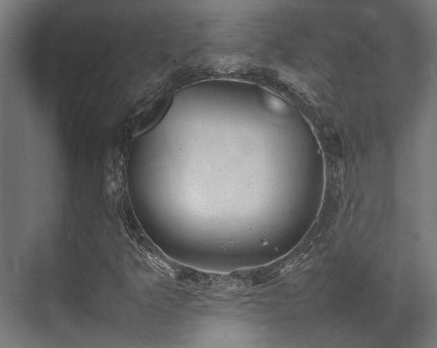 X0000074291349200608251333