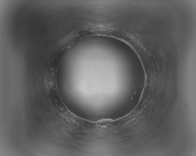 X0000074291350200608251333