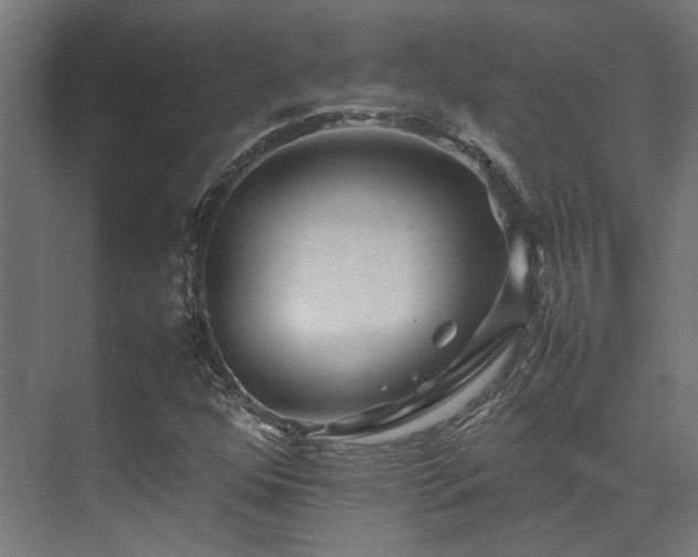 X0000074291352200608251333