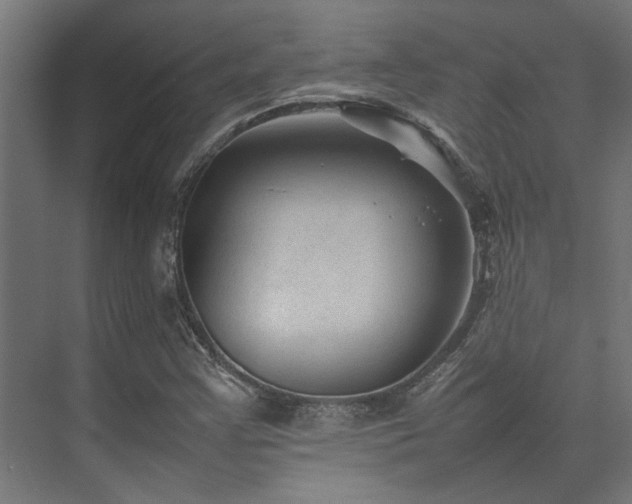 X0000074291355200608251333