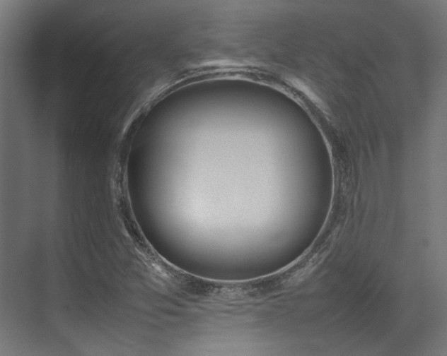 X0000074291357200608251333