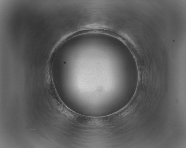 X0000074291358200608251333