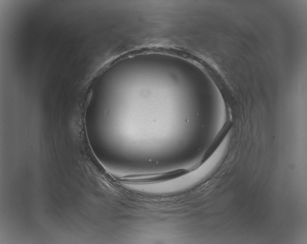 X0000074291359200608251333