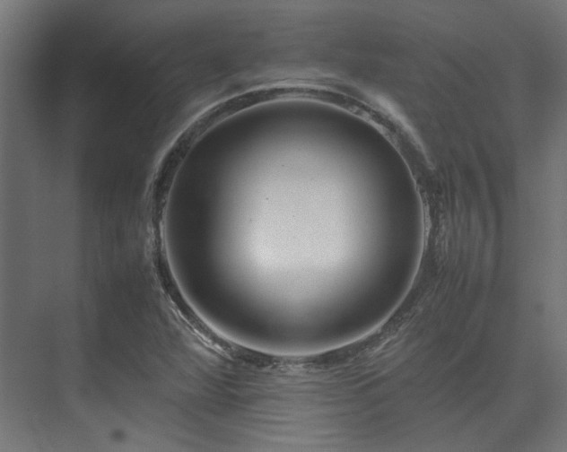 X0000074291360200608251333