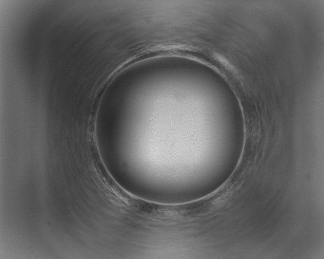 X0000074291361200608251333