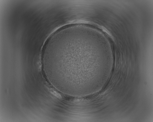 X0000074291364200608251333