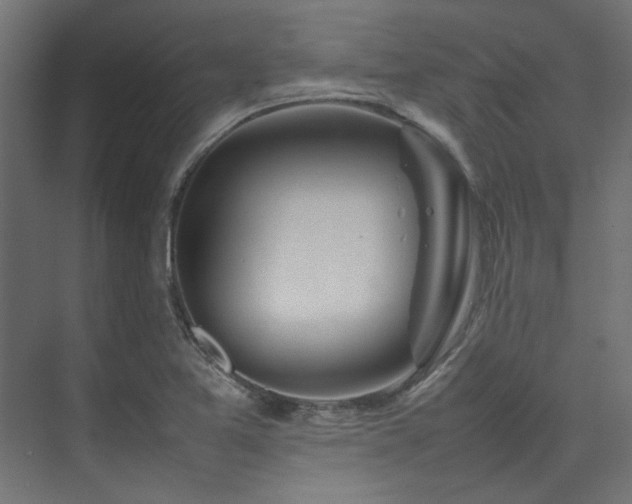 X0000074291365200608251333