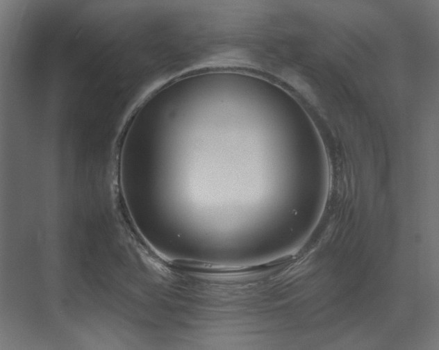 X0000074291366200608251333