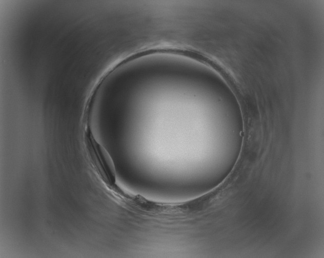 X0000074291367200608251333